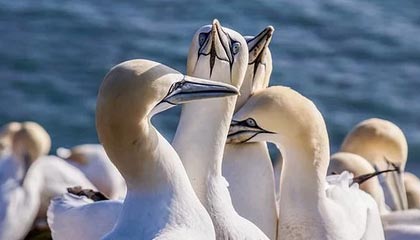 英雄联盟官方赛事官网-厉害了老铁！回顾巴尔韦德vs曼城集锦，值得一键收藏